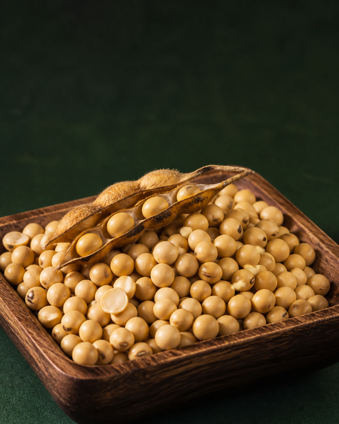 Clean raw soybeans in a grain tray